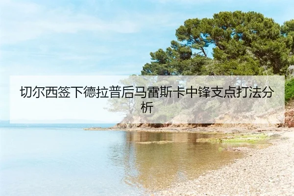 qie-er-xi-qian-xia-de-la-pu-hou-ma-lei-si-ka-zhong-feng-zhi-dian-da-fa-fen-xi-2-400.jpg