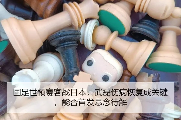 guo-zu-shi-yu-sai-ke-zhan-ri-ben-wu-lei-shang-bing-hui-fu-cheng-guan-jian-neng-fou-shou-fa-xuan-nian-dai-jie-2-849.jpg