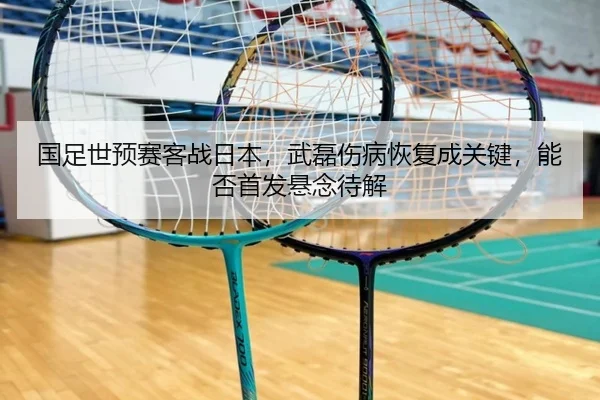 guo-zu-shi-yu-sai-ke-zhan-ri-ben-wu-lei-shang-bing-hui-fu-cheng-guan-jian-neng-fou-shou-fa-xuan-nian-dai-jie-3-974.jpg