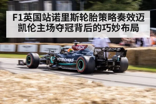 F1英国站诺里斯轮胎策略奏效迈凯伦主场夺冠背后的巧妙布局